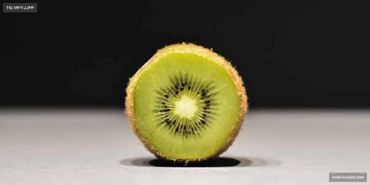 <strong>DB电竞官方网站</strong>🥋从新手到高手，从兴趣到热爱！首页干货，陪你走好每一步～